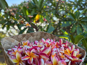 1000 Maui-Grown Flower Blooms