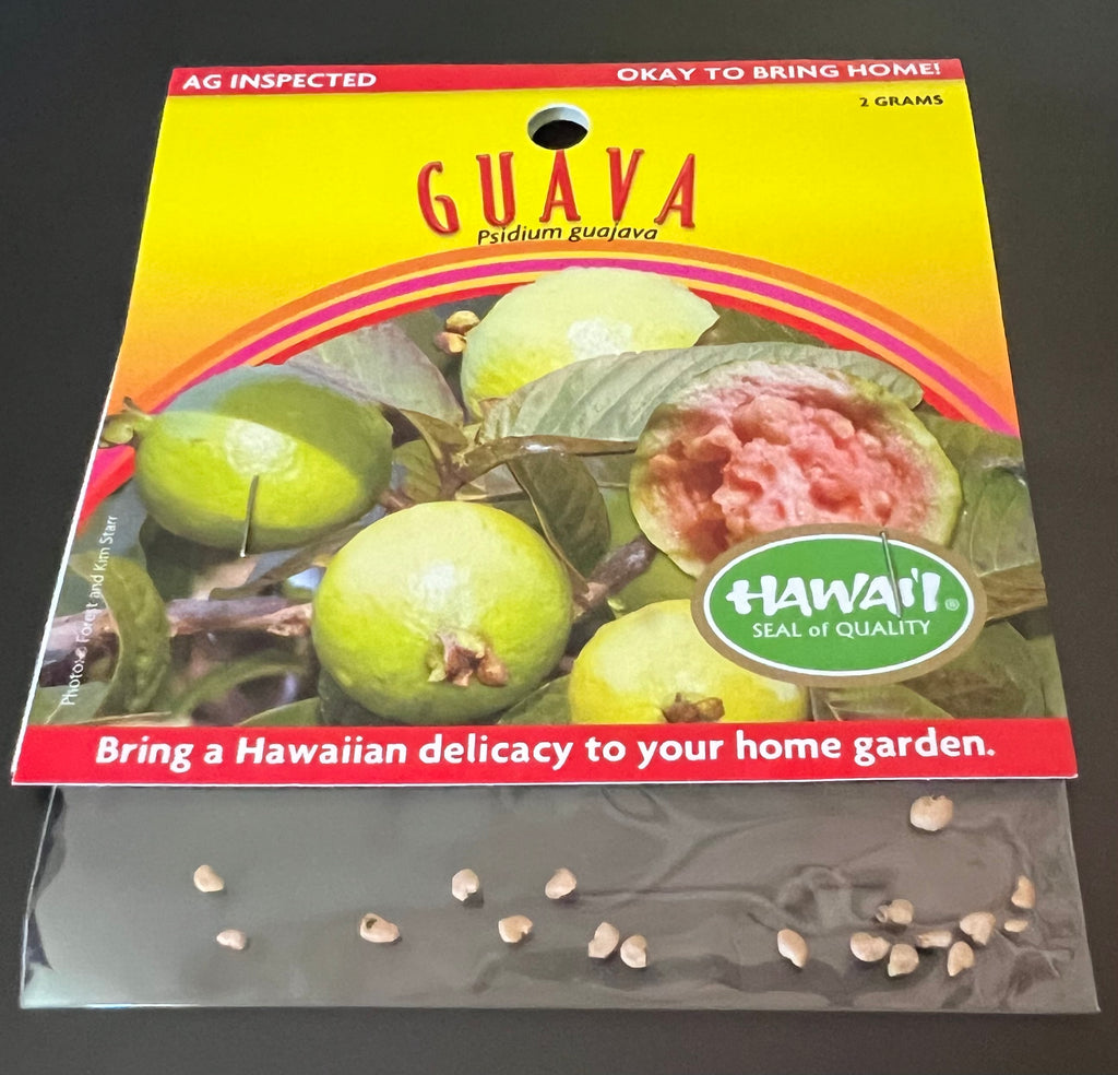 Seeds - Guava