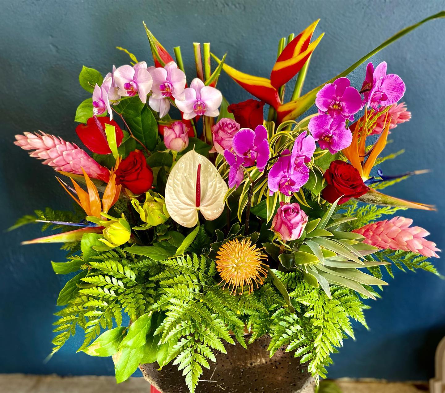 Aliʻi nui ~  Live Orchid Plant Arrangement