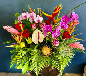 Aliʻi nui ~  Live Orchid Plant Arrangement