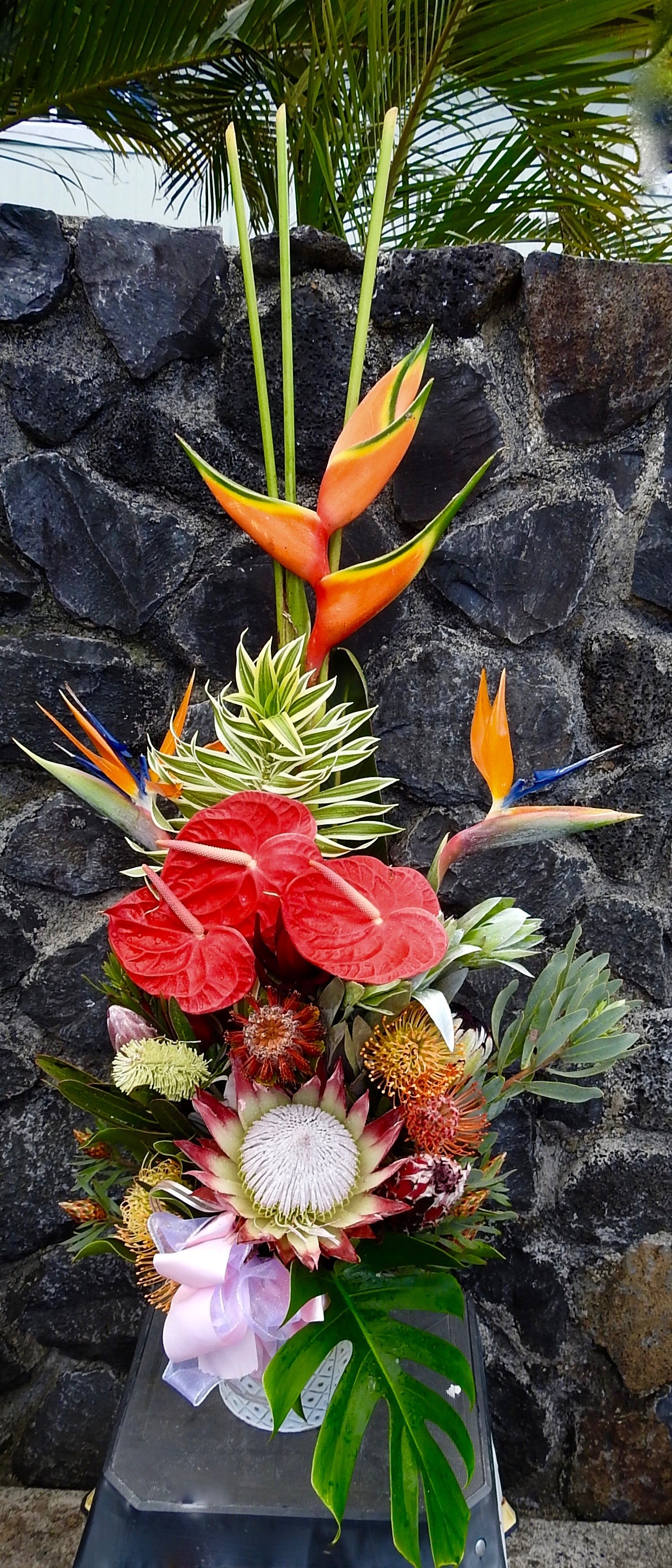 Aloha ʻĀina ~ Tropical Designer's Choice