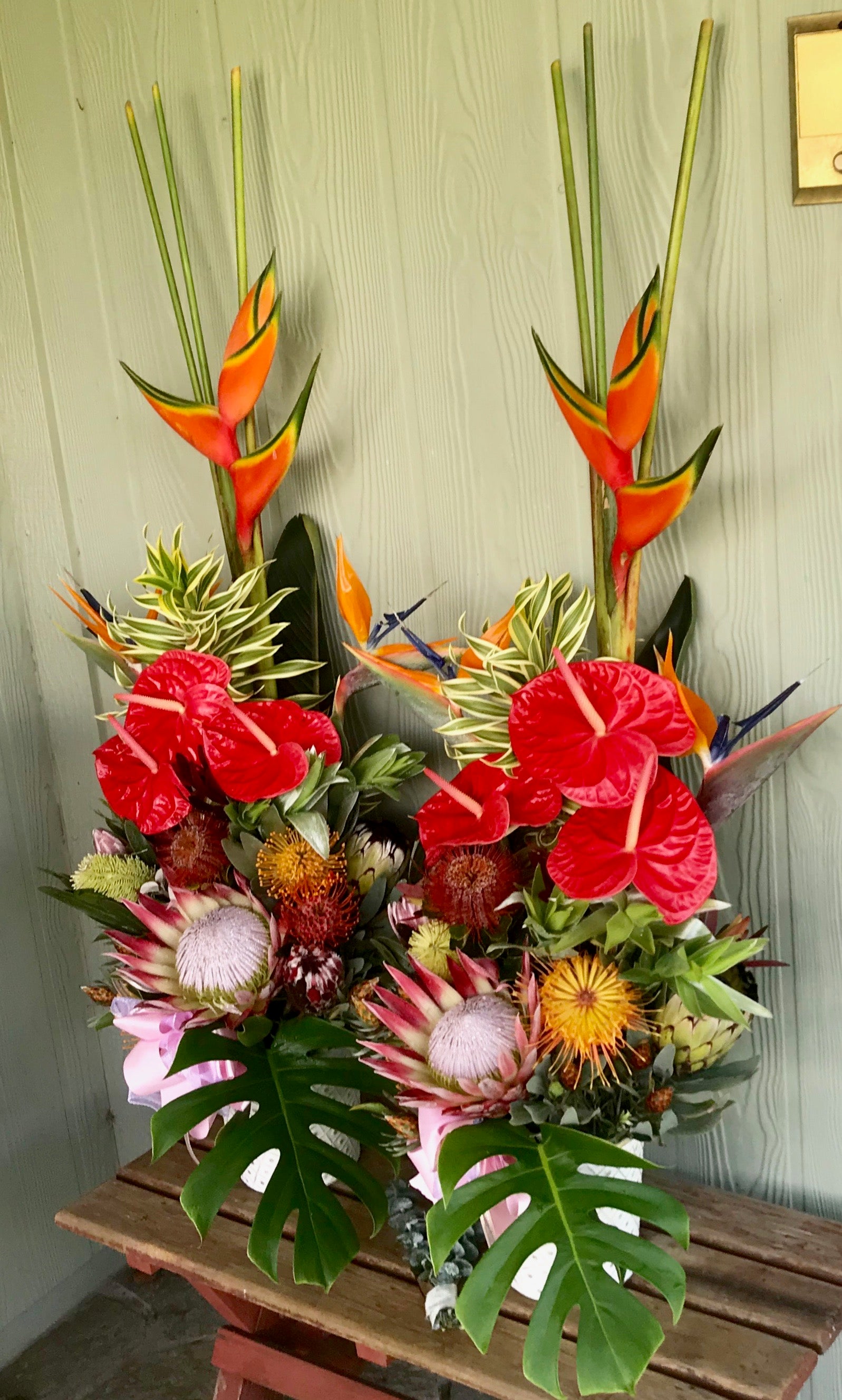 Aloha ʻĀina ~ Tropical Designer's Choice