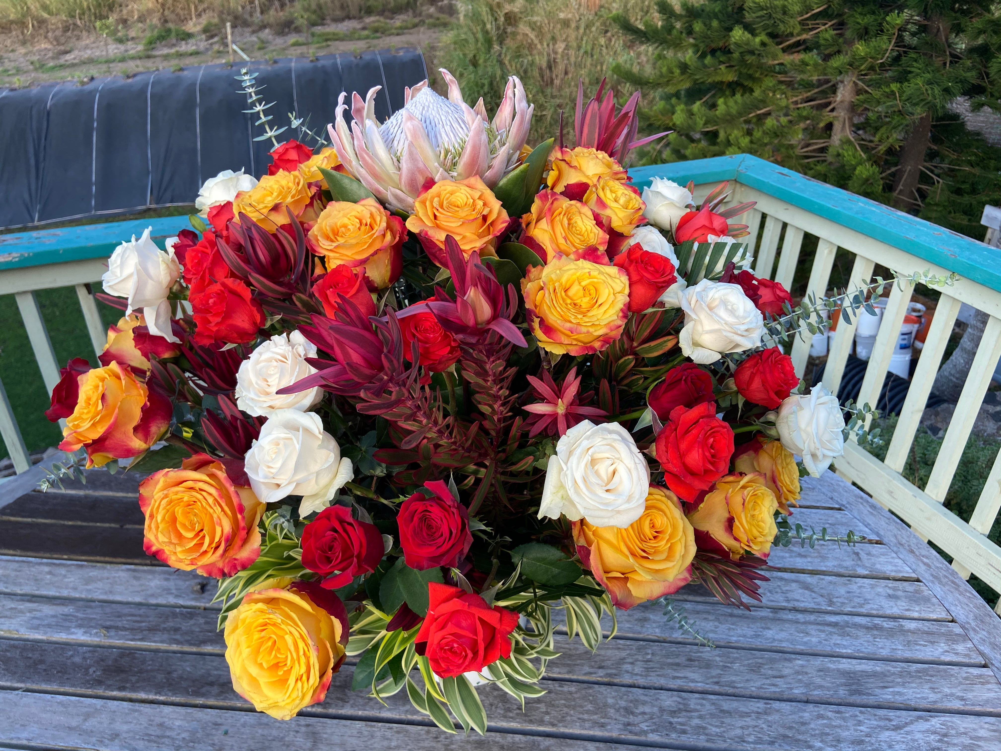 Colors Of Life - Rose Celebration Arrangement