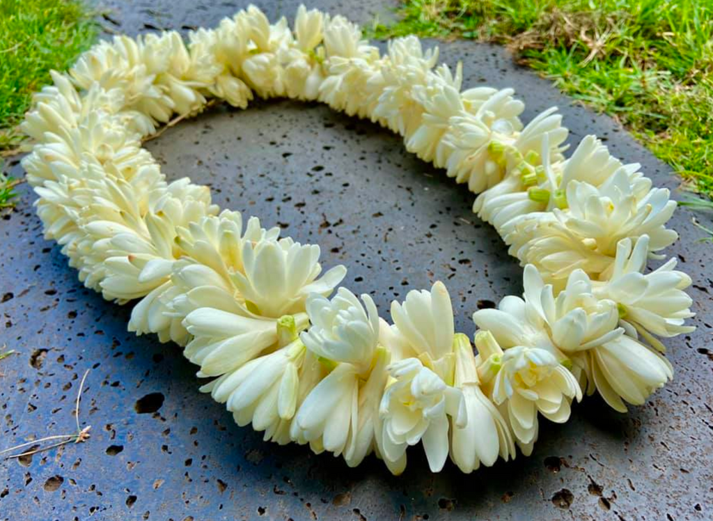 Lei's ~ Click here to select Lei of Choice