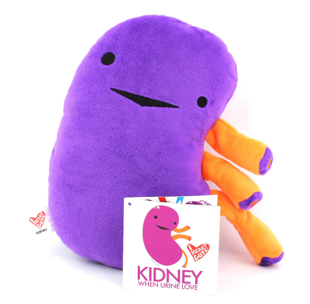 Kidney “When urine love”